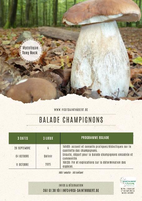 affiche balades champignons