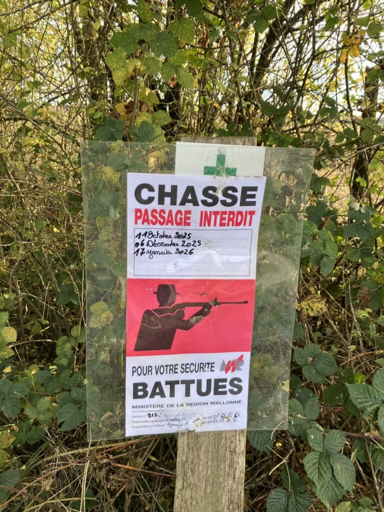 Opletten tijdens de jacht in de streek rondom ons rustige vakantiehuis Au Bois d’Awenne, gelegen in de bossen van de Belgische Ardennen