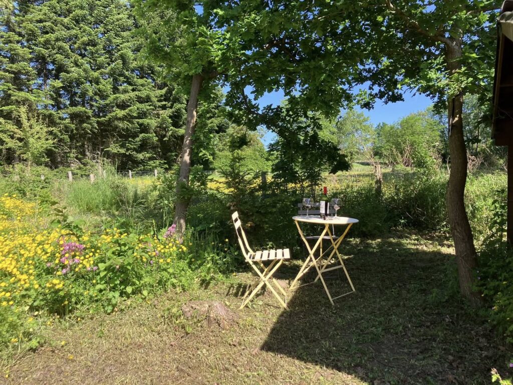 schaduwplekje - Au Bois d’Awenne vakantiehuis in rust en natuur in de Belgische Ardennen